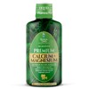 Tropical Oasis Liquid Calcium Magnesium for Bone Health - 32
