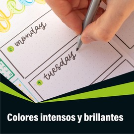 BIC, Plumines de Punto Mediano, Rotulador Intensity, 1.00 mm, Escribir, Subrayar, Delinear Colores Intensos, 5 Piezas