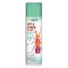 ecoSMART 33500 Ant & Roach Killer, 14-oz. Aerosol - Quantity