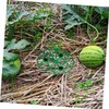 BESPORTBLE 5pcs Reusable Watermelon Holder Trellis for Garden Support Durable