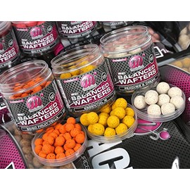 Mainline Baits HIGH IMPACT™ BALANCED WAFTERS 15mm 250ml TUB (Spicy Crab)