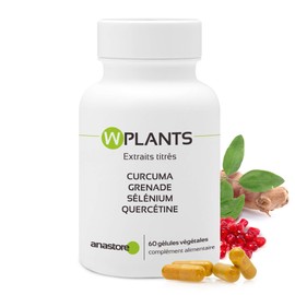 WPLANTS Complex Antioxidants High Dose Extracts of Turmeric, Pomegranate, Japanese Sophora - Curcumin, Ellagitanin, Quercetin and Selenium | 60 Capsules | Anastore