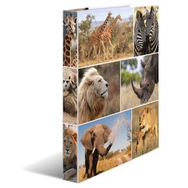 HERMA Ring Binder A4 Lion Slim 2 Rings 35mm Wide Kids Ring Binder with Animal Motif Colourful Folder with Inner Print for Boys and Girls