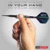 RED DRAGON Darts – Professional Player - Peter Wright Snakebite