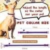 Amylove 48 Pcs Dog Collar and Leash Set, Polypropylene Adjustable
