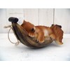 Unbekannt Squirrel in Hammock Ornament