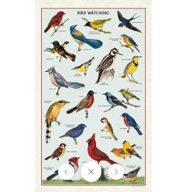 Cavallini & Co., Bird Watching Vintage Kitchen / Tea Towel, 100% Cotton, New