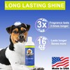 Vaporize 5-in-1 Pet Wash Shampoo Gently cleanses, deodorizes, Conditions, detangles,