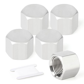 TAISHER 5PCS 304 Stainless Steel Cap Pipe Plug Socket Fitting 1" BSP Female