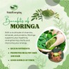 Halal Everyday Moringa Leaf Powder, 100% Pure Vegan Supplement, Energy