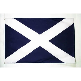 AZ FLAG Scotland Flag 2' x 3' - Scottish Flags 60 x 90 cm - Banner 2x3 ft