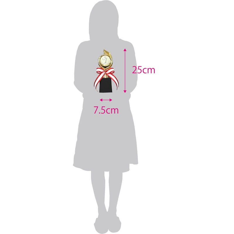 Trophy Winner Height 9.8 inches (25 cm), Prize Product, Reward,