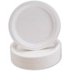PRISTINE ENTERPRISE Disposable Plates - 9 Inch Rigid Biodegradable and