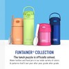 THERMOS FUNTAINER 16 Ounce Stainless Steel Bottle, Strawberry Smiles