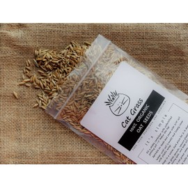 Simple Cat Grass | 100% US Organic Oat Seeds | Show Your Love with a Healthy Pet Treat and Snack (4 Ounce (~3200 Seeds))