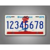SignsAndTagsOnline.com Custom 1976-1979 South Carolina Bicentennial ANY TEX License Plate