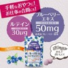 オリヒロ かんでおいしいチュアブルサプリ ブルーベリー＆ルテイン 120粒 30日分 RPJセット ORIHIRO 【2個】