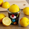 Pylones - Zitruspresse Squeeze Me - Blumengarten