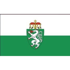 Flag Styria with Coat of Arms State Flag / Country Flag / Hoisting Flag with Eyelets 150 x 90 cm Good Quality