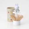 Skater TWYJ1D-A Toothpick Holder with Mascot, Toothpick Holder, Toothpick, Toothpick,
