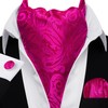 Barry.Wang Men Ascot Cravat Tie with Pocket Square Cufflinks Tie