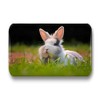 Merchandise for Fans 01 Rabbit Fridge Magnets Rectangular 7 x