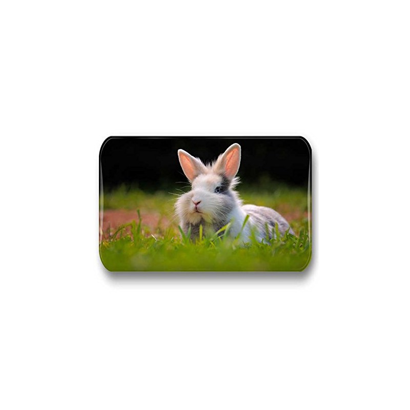 Merchandise for Fans 01 Rabbit Fridge Magnets Rectangular 7 x
