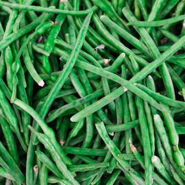 Jade Bush Bean Seed - 5 Lb - Non-GMO, Heirloom Green Bean Seeds - Vegetable Garden Seeds