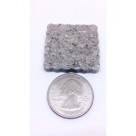 Fairy Garden Miniature Stepping Stones. Set of 4. Dollhouse, Terrarium Decor