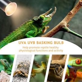 Slzhds 4 Piezas Bombilla De Para Reptiles, Luz de reptil halógena, Bombilla Calefactora para Reptiles E27, 50 W, UVA, UVB, para dragón barbudo, lagarto, serpiente, Gecko, camaleón, Tortuga