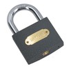 63mm Iron Padlock with Hardened Shackle Padlocks Shed Gate Lock