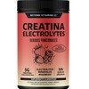 BEYOND VITAMINS Creatina Monohidratada con Electrolitos y Ciclodextrina para Mejor
