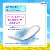 Charm Nap 【Bulk Buy】 Saraphy Absorption Without Wings 3cc 17.5cm