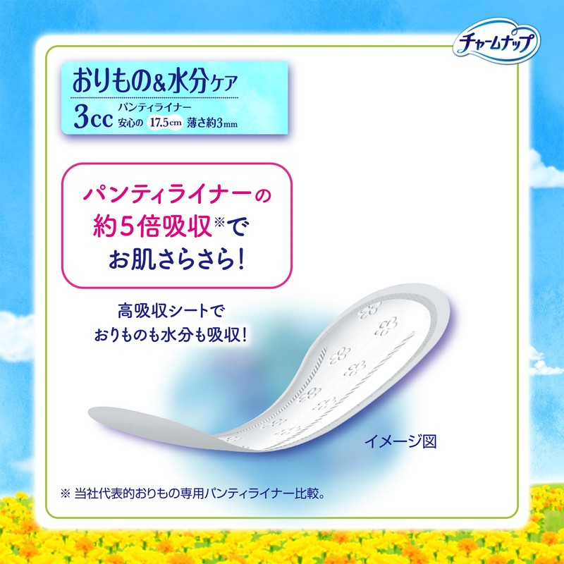 Charm Nap 【Bulk Buy】 Saraphy Absorption Without Wings 3cc 17.5cm