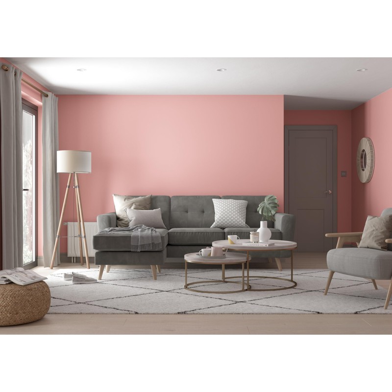 Dulux Colour Tester Boho Blush 30ML