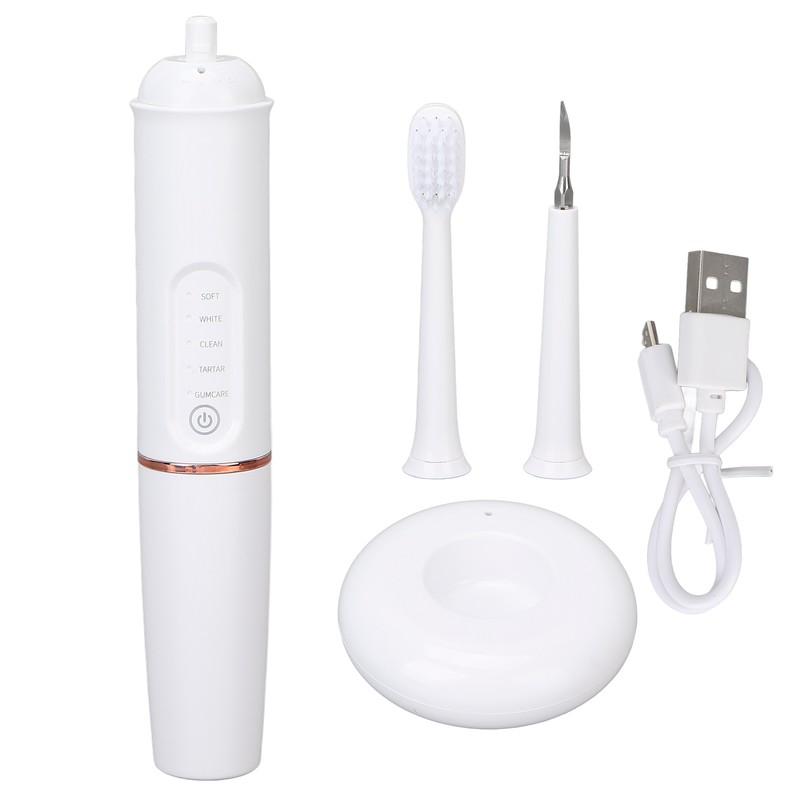 Plaque Remover IPX7 Waterproof Multifunction Electric Teeth Cleaning Kit for