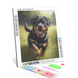 TUTUMAY21 Rottweiler is Frolicking on The Grass Diamond Painting Kits for Adults, Cute Happy Dog Puppy 5D DIY Diamond Art Kits Full Drill Diamond for Gift Wall Decor Gem Arts Funny Animals 30x40cm