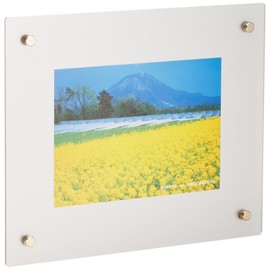 FUJICOLOR 40100 Pro Frame Frame 2L Acrylic Silver