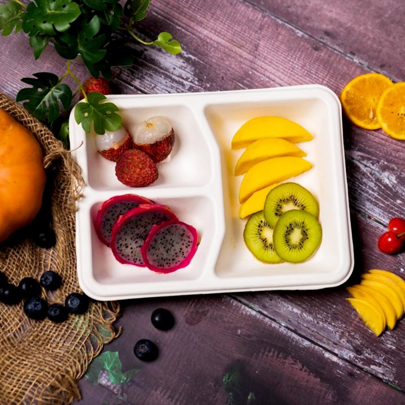 EconoHome Disposable Plates with 3 Compartments - Eco-Conscious Bagasse Sugarcane