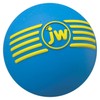 JW Pet Company Dog Toy Ice Squeeking Ball Medium Ride