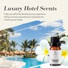 JCLOUD Sophisticated Allure Essential Oil Inspired by Hilton Hotel |