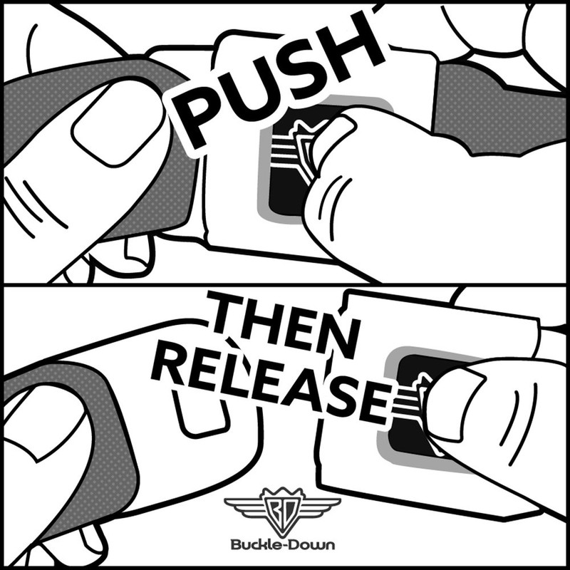 Buckle-Down Seatbelt Belt Ram Regular