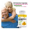 Berberina Hcl Clorhidrato Cápsulas Días Potente Formulacion Alta Concentracion Absorcion