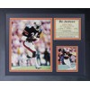 Legends Never Die "Bo Jackson Auburn Framed Photo Collage, 11
