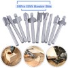 Wolfride 10Pcs HSS Router Bits, Carbide Engraving Bit Set with