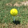 Trust Aurora Golf Ball, No Hit, Visible, Fly, Bendless Crystal