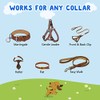 YUEPET Clips de seguridad para perro, paquete de 5 clips