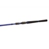 Daiwa Triforce TS 2.40 m 30-70 g pike spinning fishing