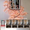 Hmdkepf Cherry LED Tree Branch Lights for Wall, 48/144 LED