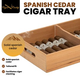 Quality Importers Spanish Cedar Cigar Tray